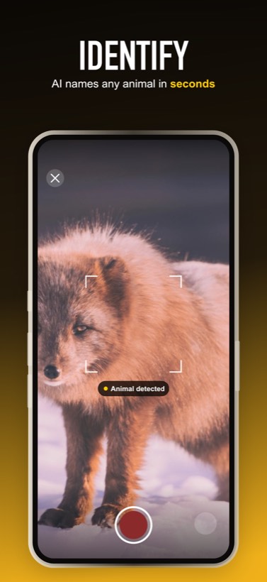 WildDex identifying an animal