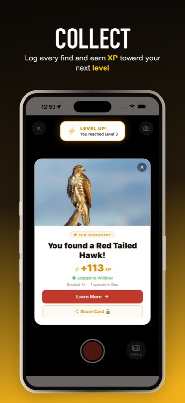 Collect and earn XP